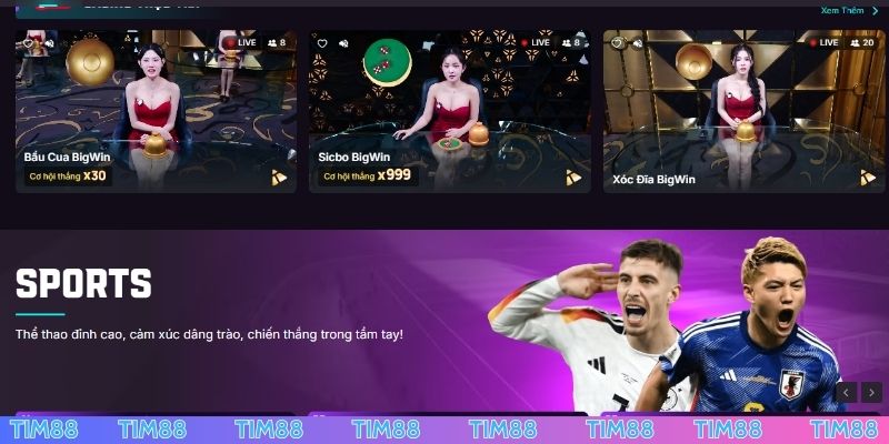 Tầm quan trọng của Link vào TIM88 chính thức