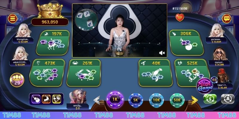 Rủi ro cần lưu ý trong cách chơi Bầu Cua TIM88